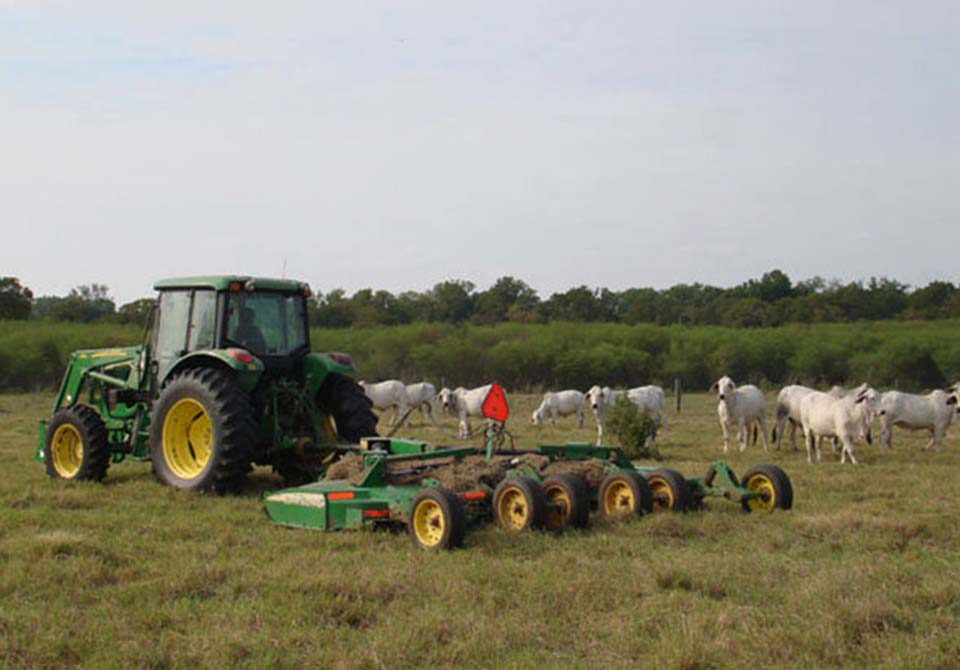 Salinas Ranch gray brahman gallery cattle and hay equipment